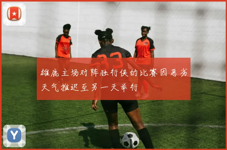 雄鹿主场对阵独行侠的比赛因恶劣天气推迟至另一天举行