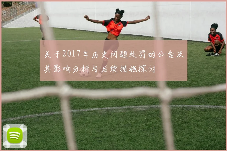 关于2017年历史问题处罚的公告及其影响分析与后续措施探讨